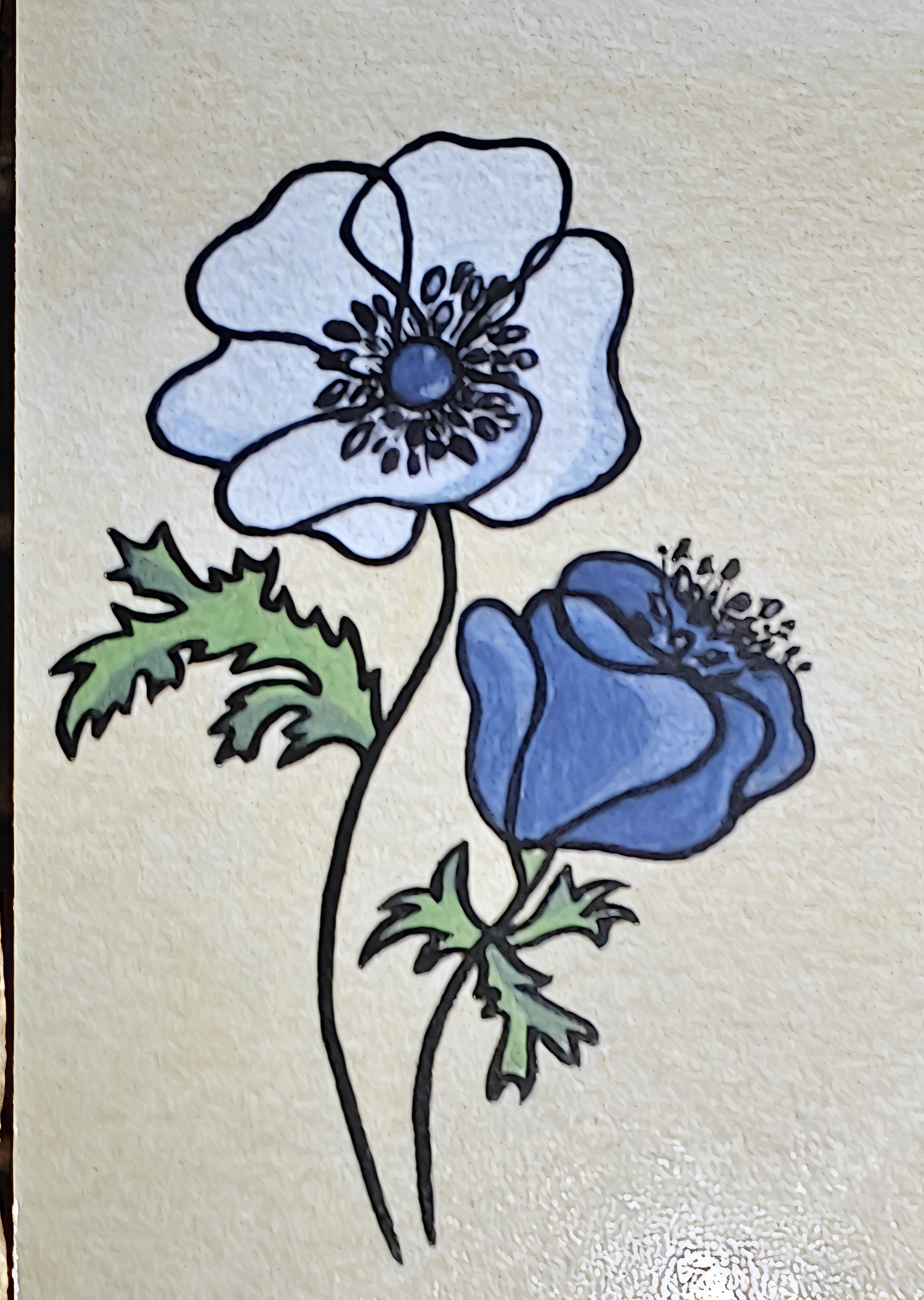 Anemone Duette Logo